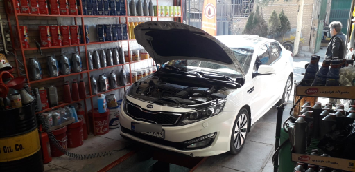 عکس تاپ سرویس پیام برادران محمدی 