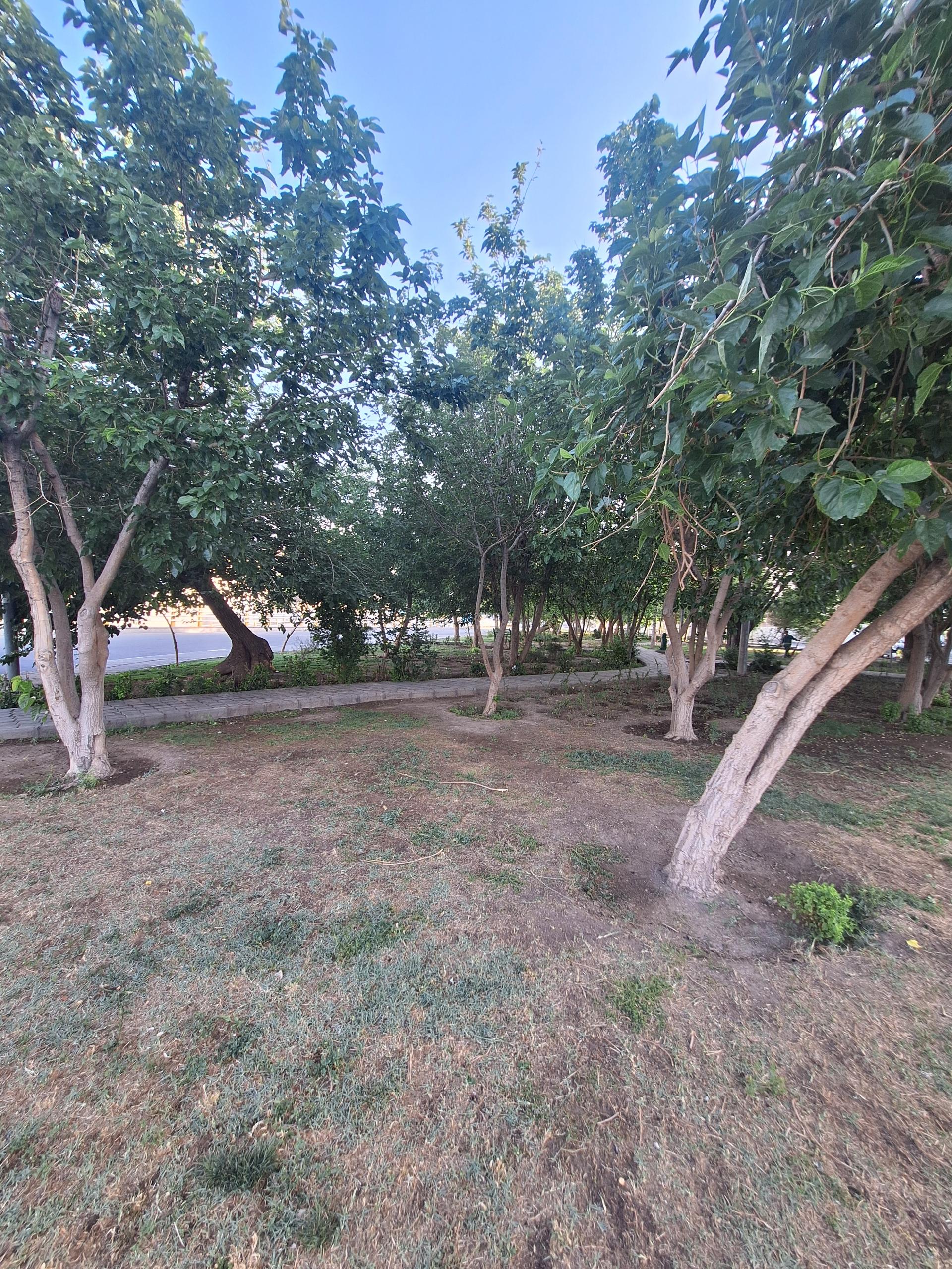 عکس بوستان کارگران