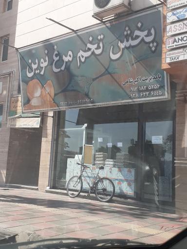 عکس پخش تخم مرغ نوین