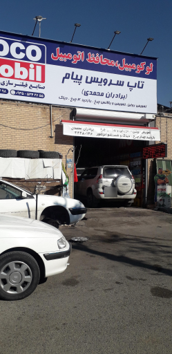 عکس تاپ سرویس پیام برادران محمدی 