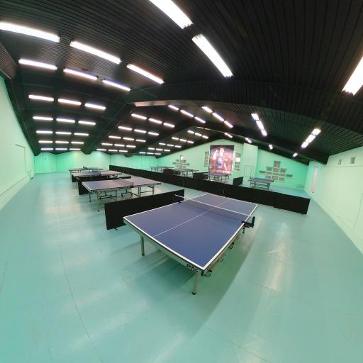 عکس باشگاه پینگ پنگ سبز