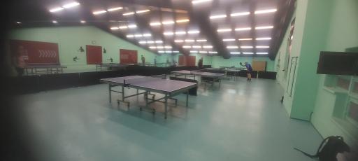 عکس باشگاه پینگ پنگ سبز