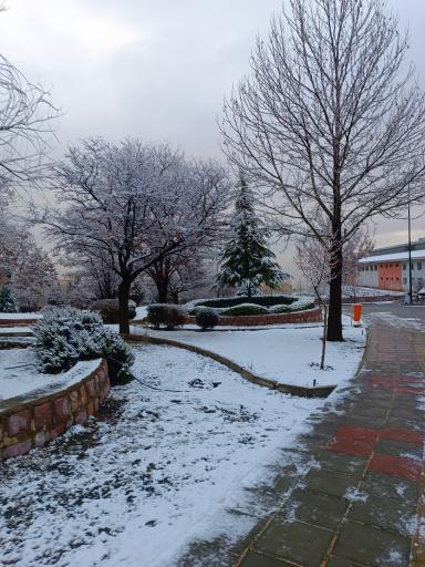 عکس دانشگاه کردستان