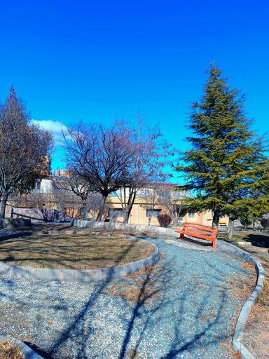 عکس دانشگاه کردستان