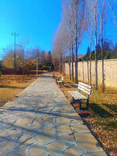 عکس دانشگاه کردستان