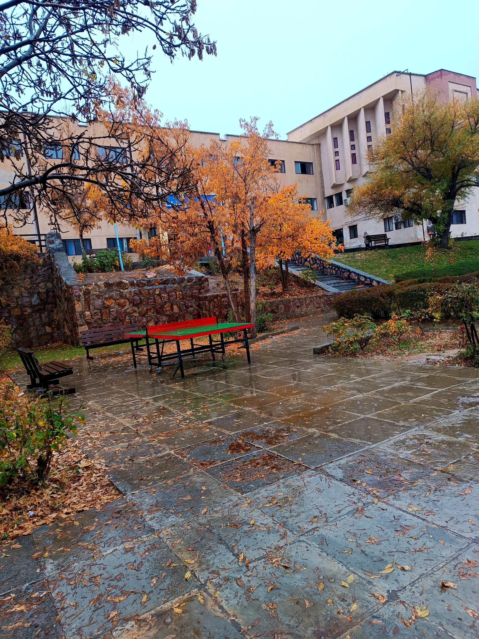 عکس دانشگاه کردستان