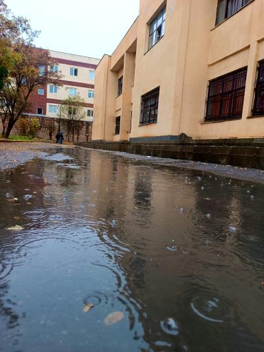 عکس دانشگاه کردستان