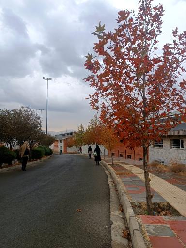 عکس دانشگاه کردستان