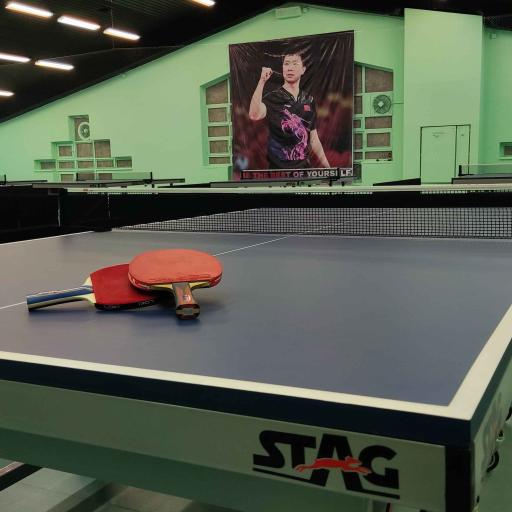 عکس باشگاه پینگ پنگ سبز