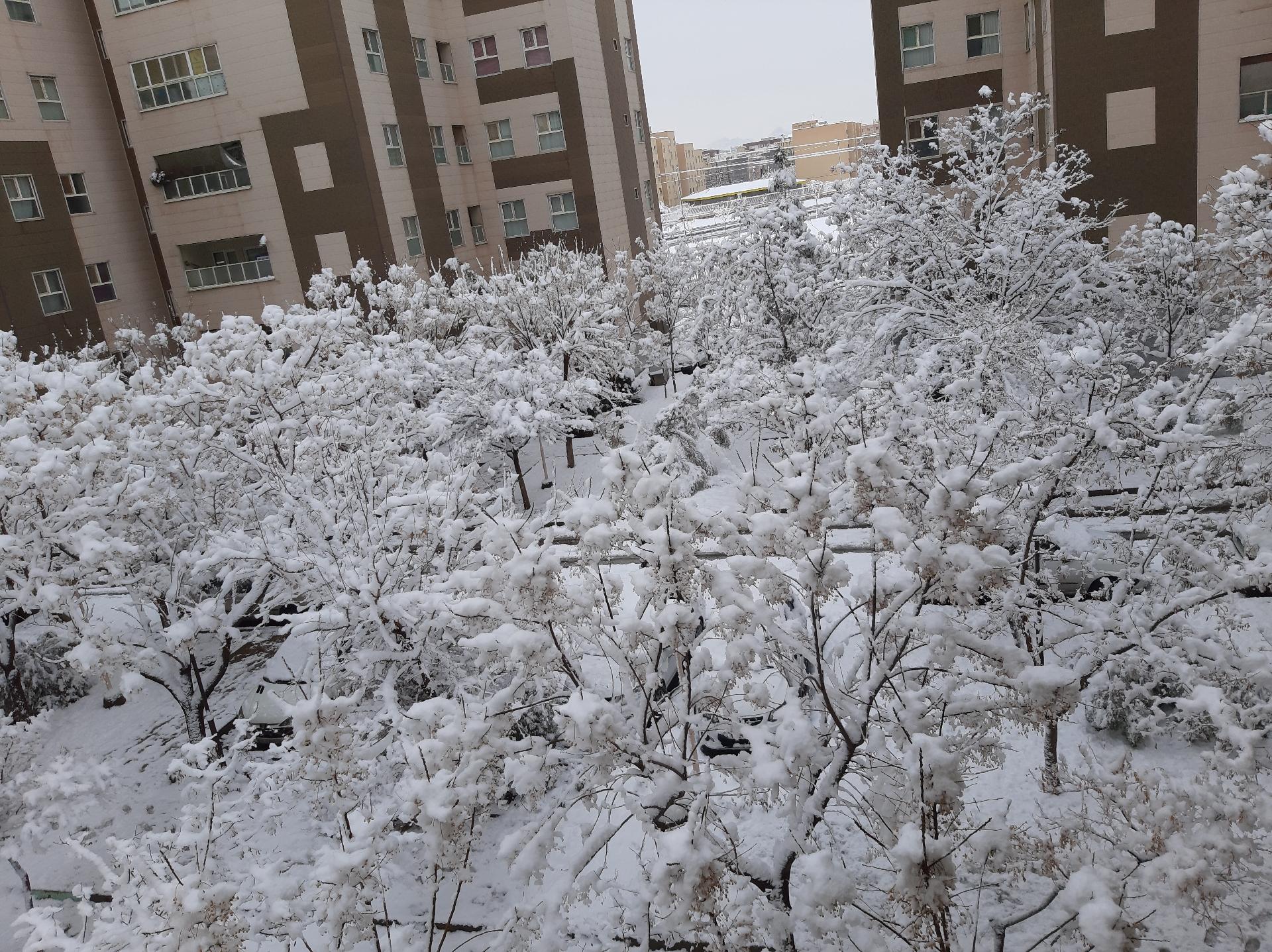 عکس مجتمع مسکونی شهید مدرس