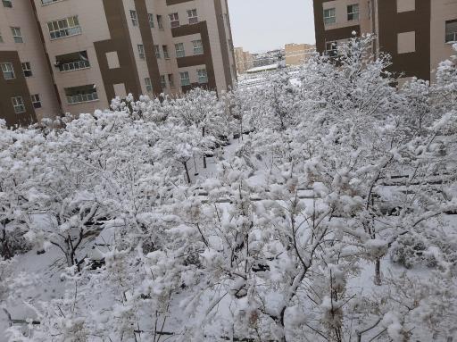 عکس مجتمع مسکونی شهید مدرس