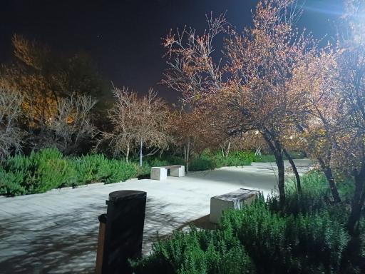 عکس باغ هنر شیراز