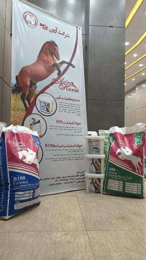 شرکت آرین پژوه