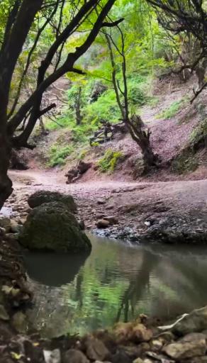 عکس چشمه روستای آسیابسر