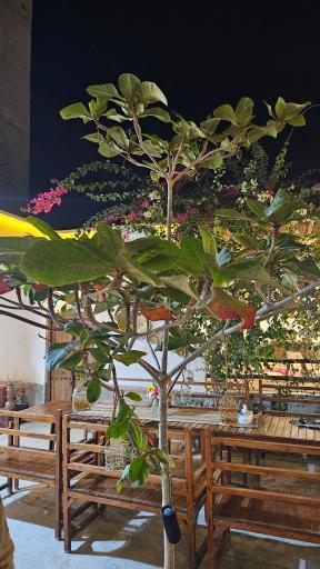 عکس اقامتگاه بوم گردی سنچه