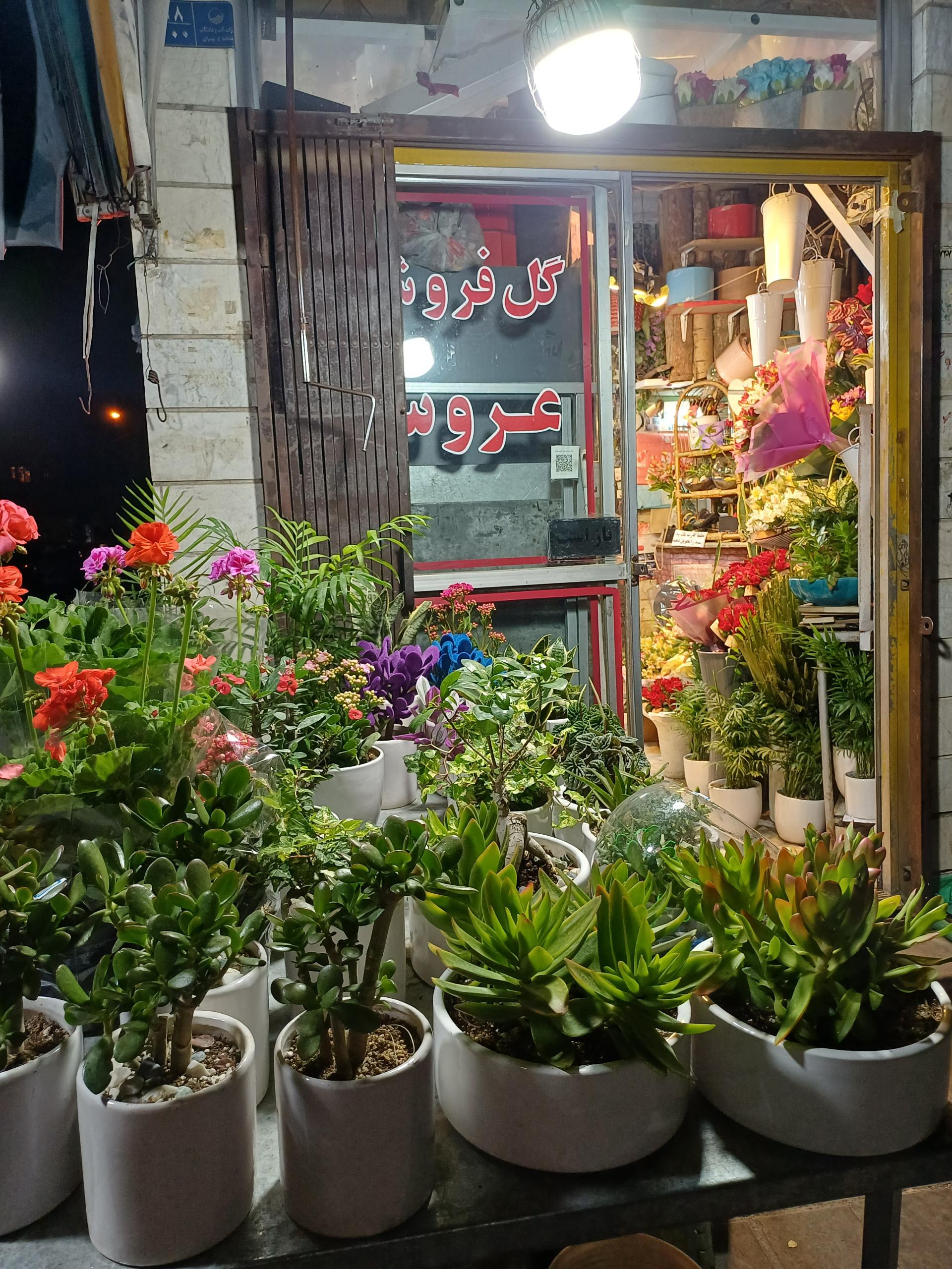 عکس گل عروس