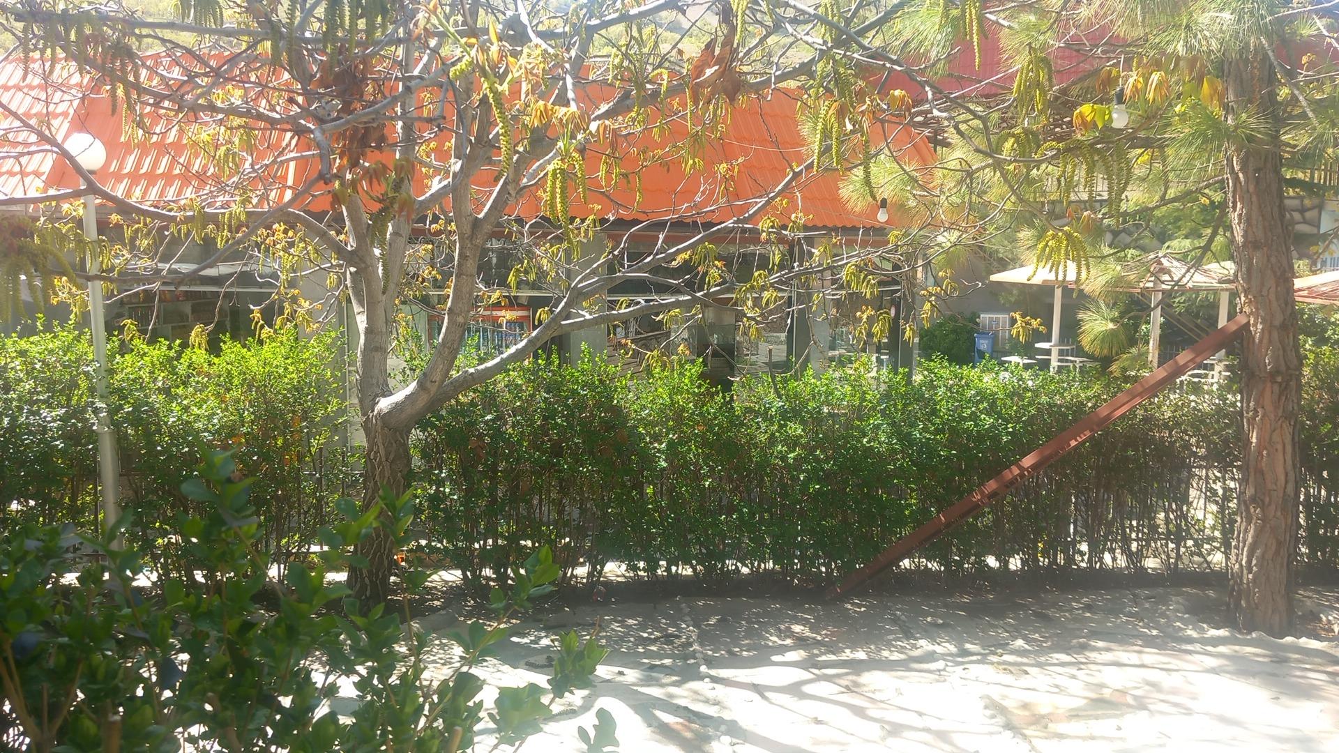 عکس تالار پذیرایی خورشید