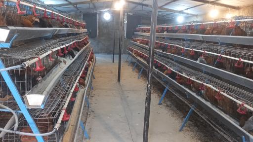 عکس کارخانه تعاونی مرغداران مرکز