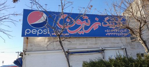 عکس کترینگ زیتون