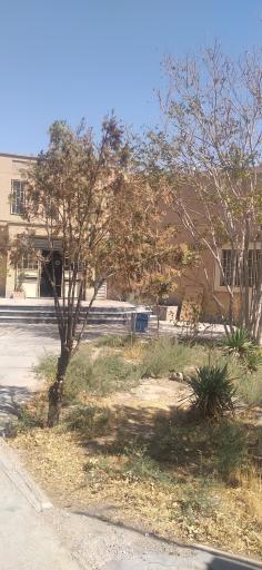 عکس کتابخانه الغدیر