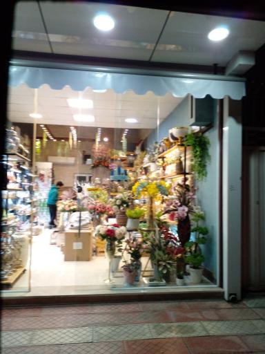 عکس فروشگاه کادو پل