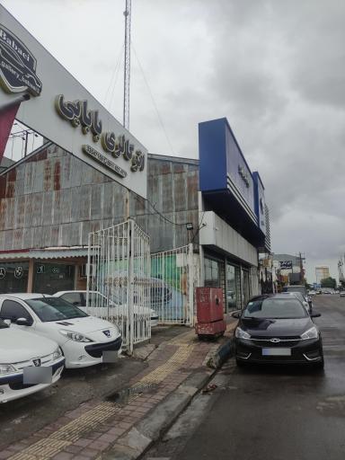عکس نماتوگالری بابایی 