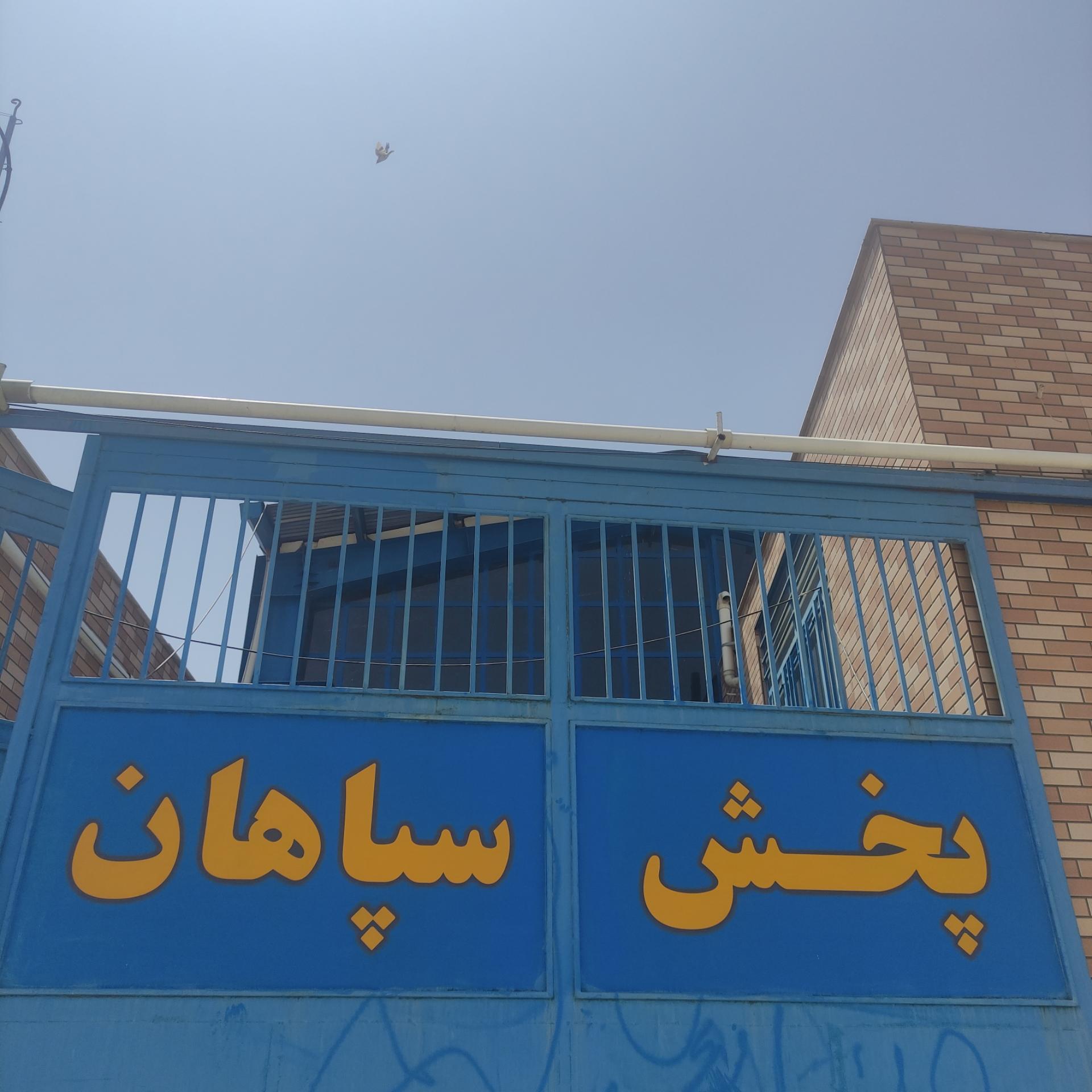 عکس پخش سپاهان فرهادی 