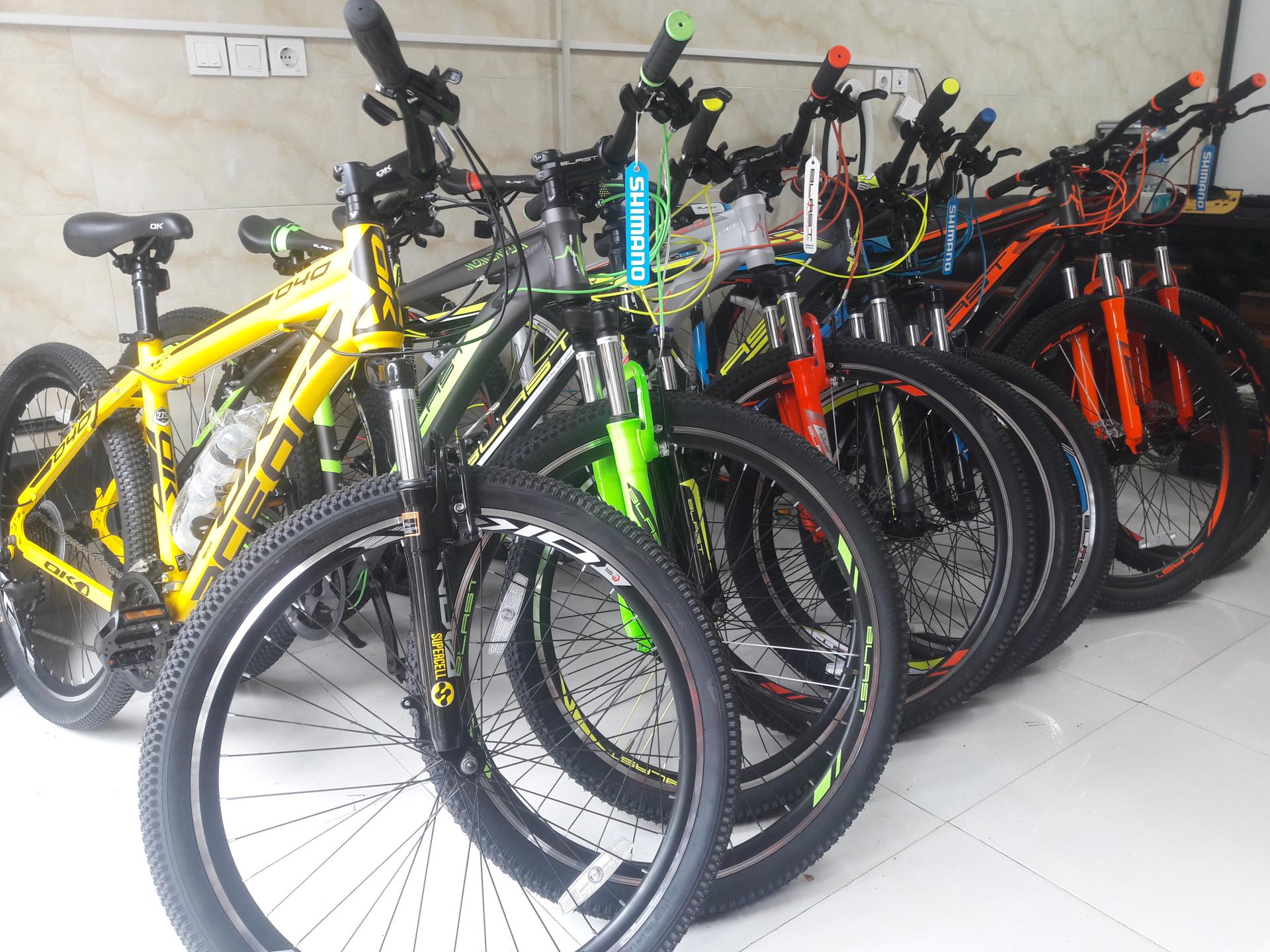 عکس آوا دوچرخ