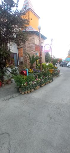 عکس مجتمع توریستی صدف