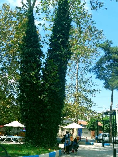 عکس پارک 22 بهمن