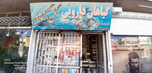 عطاری گل گندم