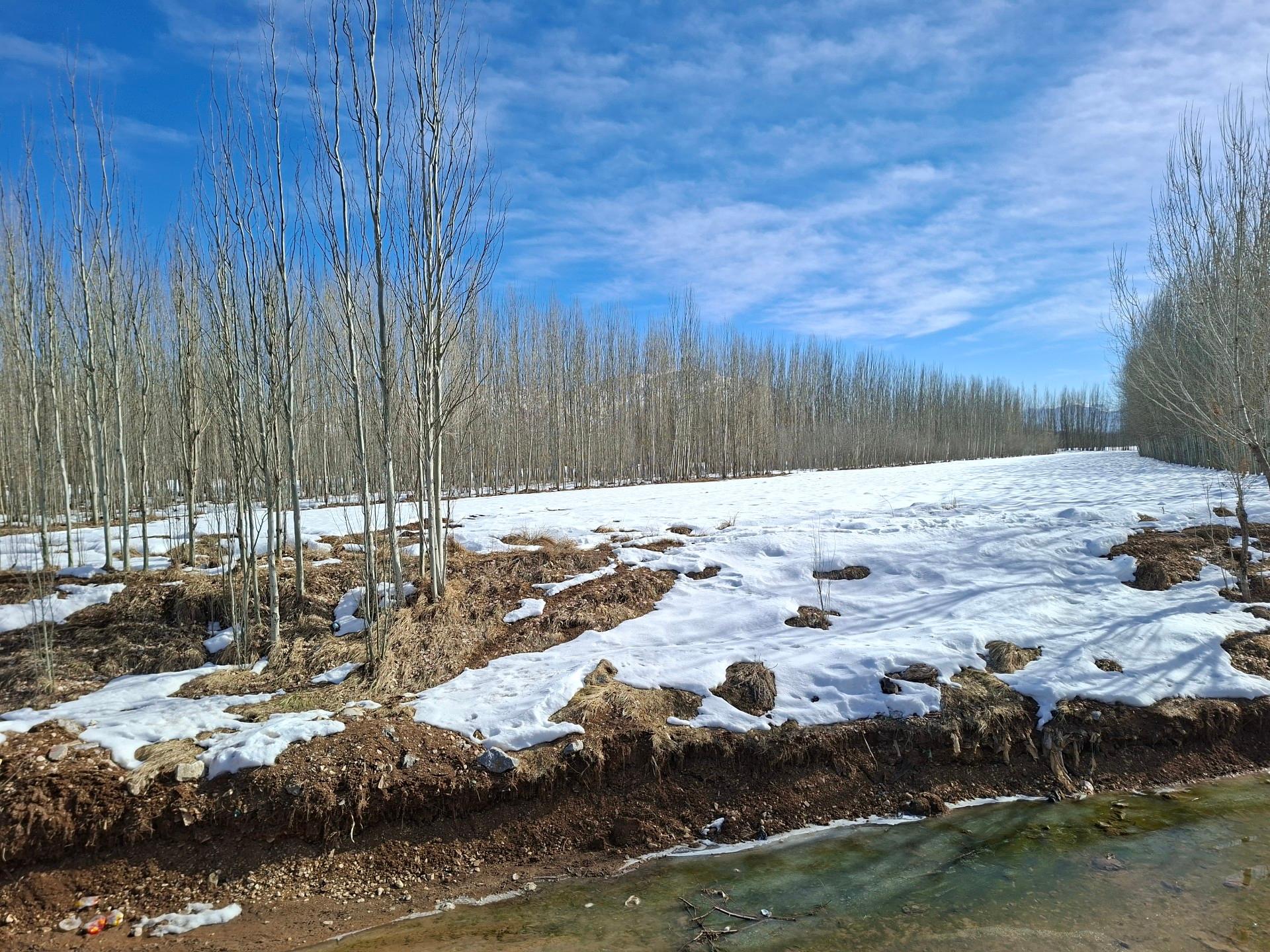 عکس چشمه پیرغار