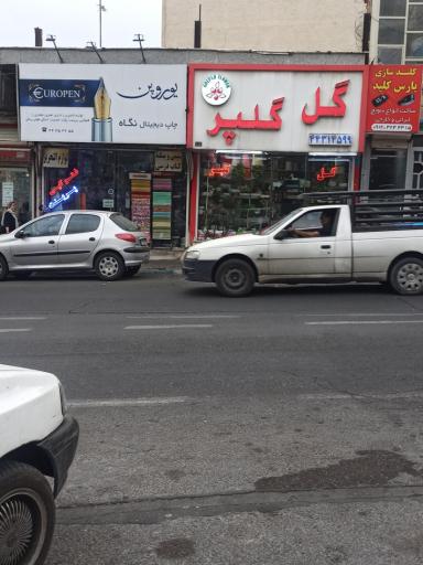 عکس گل گلپر