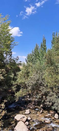 عکس چشمه پیرغار