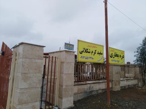 عکس سنگبری قدس