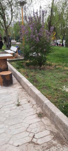 عکس پارک پیربکران