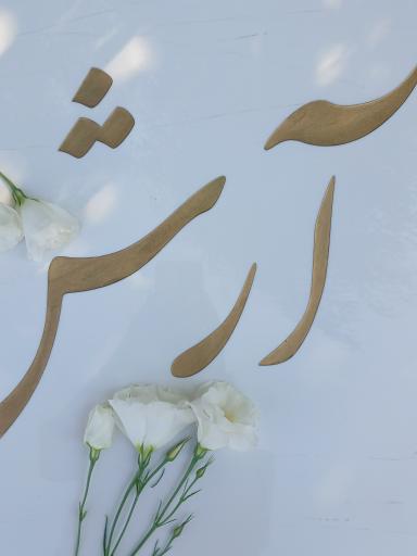 عکس قطعه 310