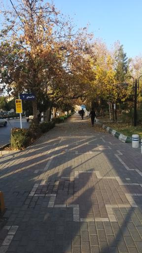 عکس پارک گلها