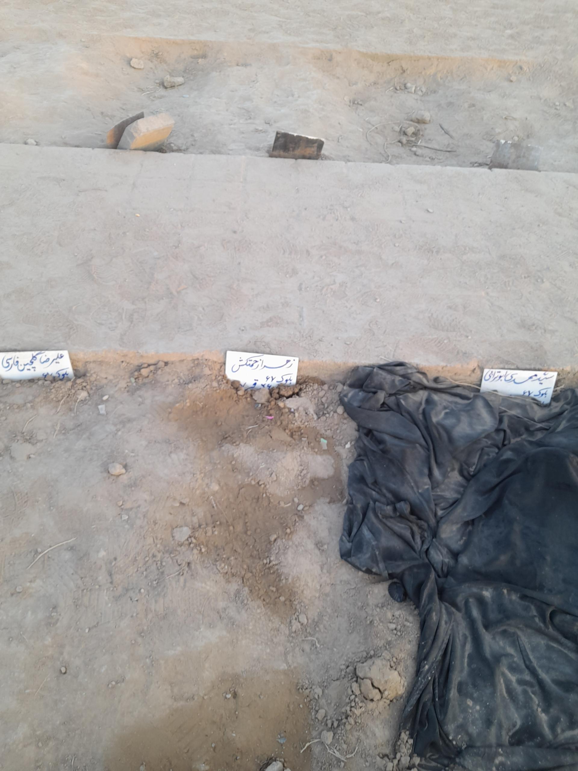 عکس زهرا زحمتکش 