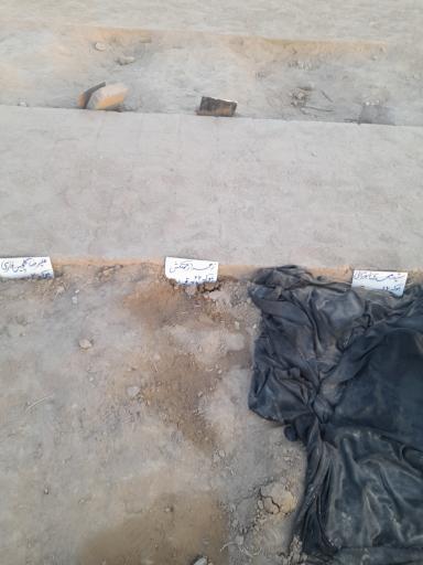 عکس زهرا زحمتکش 