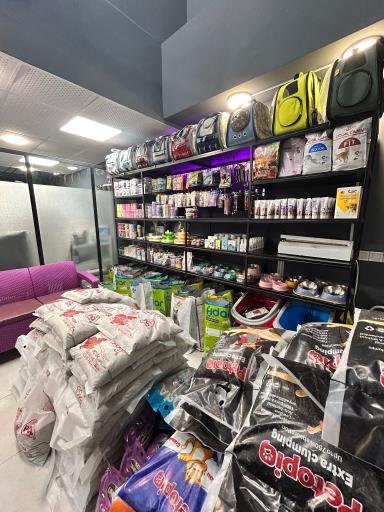 عکس کلینیک دامپزشکی نبض