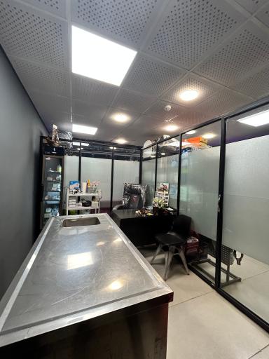 کلینیک دامپزشکی نبض