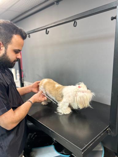 عکس کلینیک دامپزشکی نبض