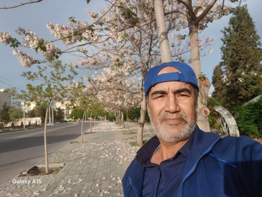 عکس پارک گلها