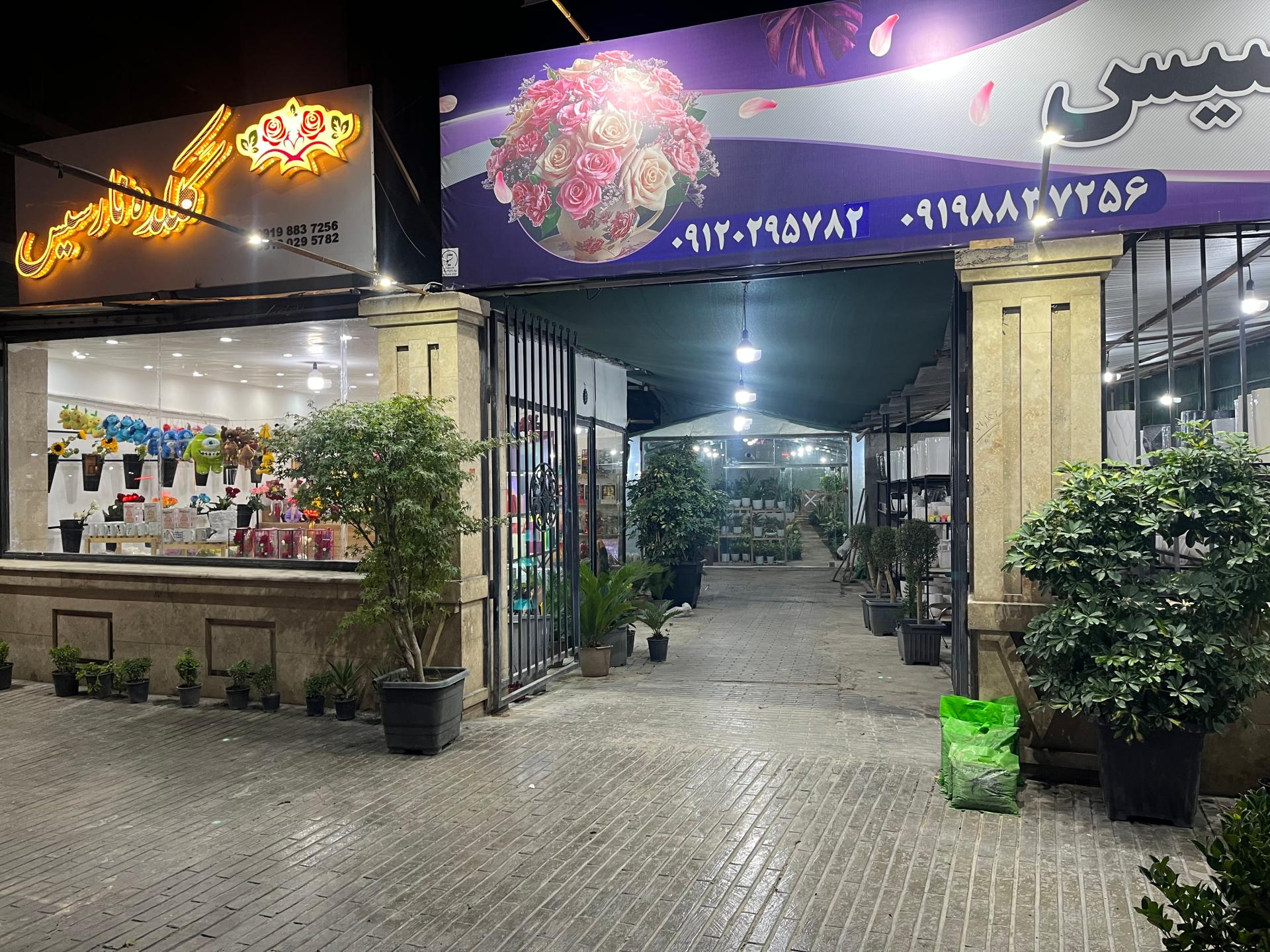 عکس گلکده نارسیس