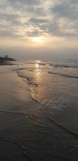 عکس هتل ترنج