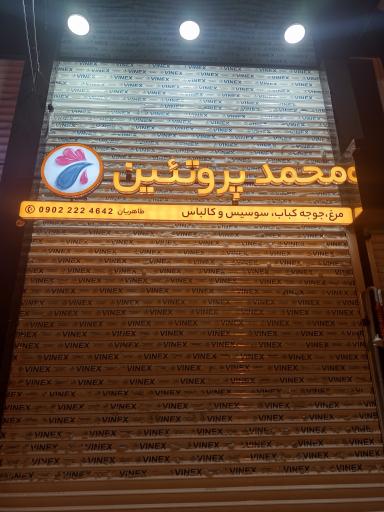 عکس محمد پروتئین