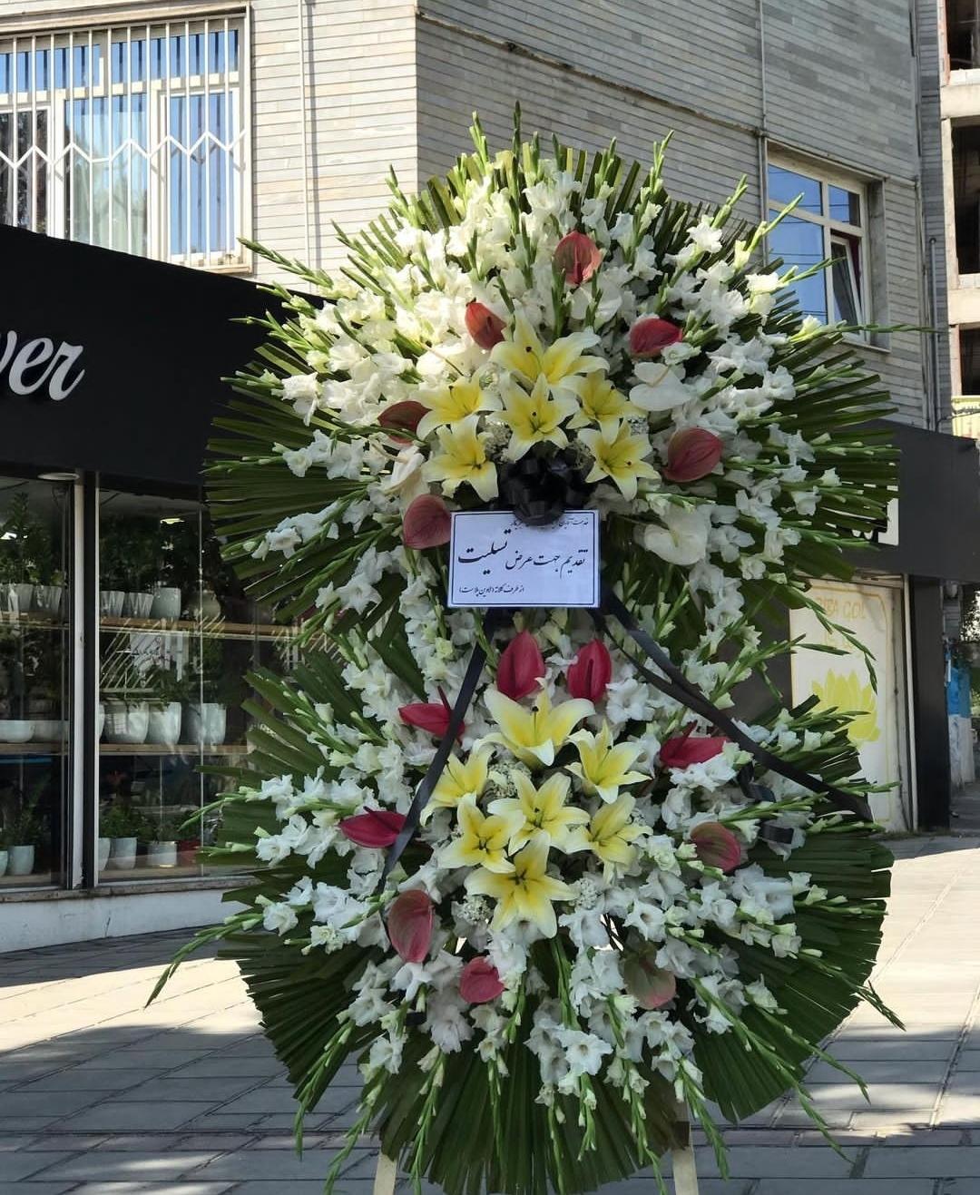 عکس گلسرای شکیل