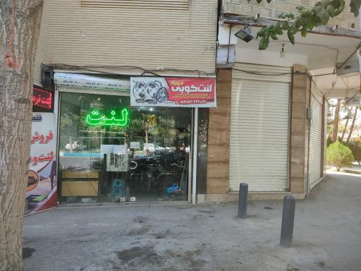 عکس لنت کوبی مهراد