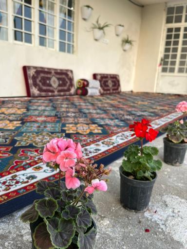 عکس اقامتگاه گردشگری بابا بزرگ - دشت سوسن 